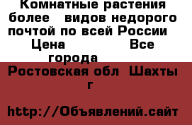Комнатные растения более200видов недорого почтой по всей России › Цена ­ 100-500 - Все города  »    . Ростовская обл.,Шахты г.